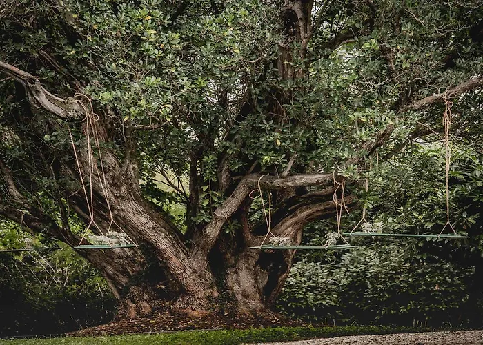 Anitori Prestige Relais&spa